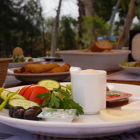 Lejlighedshotel Akyaka Nehir Butik Ula